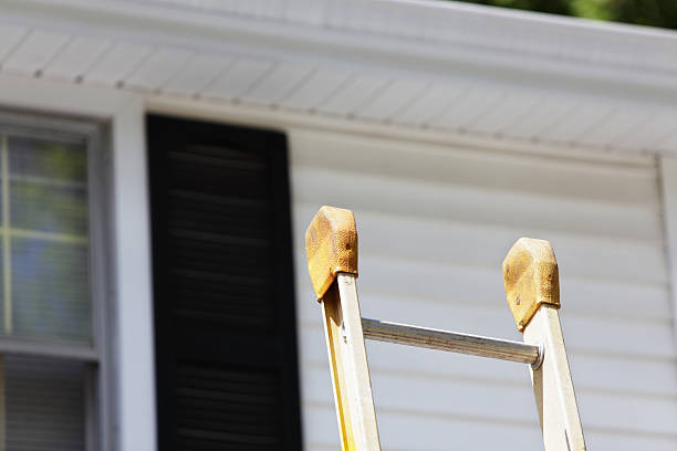 Best Insulated Siding Installation  in Ralls, TX